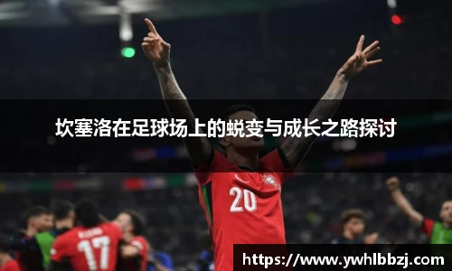 坎塞洛在足球场上的蜕变与成长之路探讨